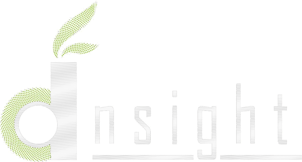 dnsight logo